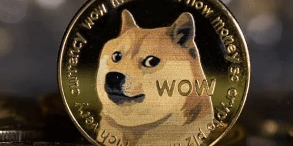 Crypto Jungle - Dogecoin (DOGE)